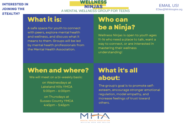 Wellness Ninjas